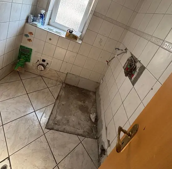 Entkernung & Demontage – abgeschlossenes Projekt