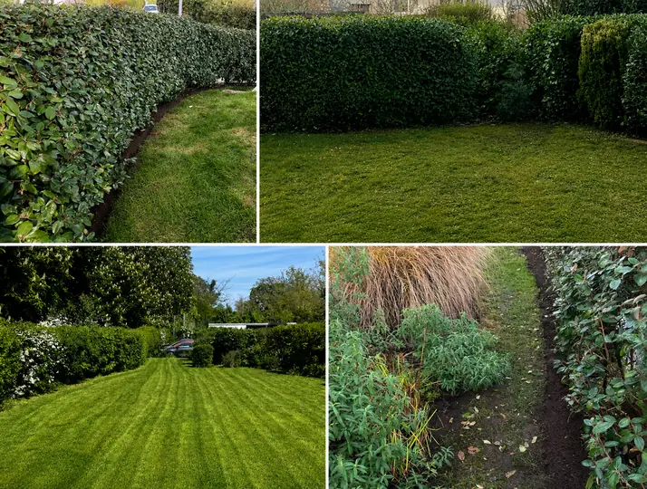 Gartenlandschaftsbau & Pflege – abgeschlossenes Projekt