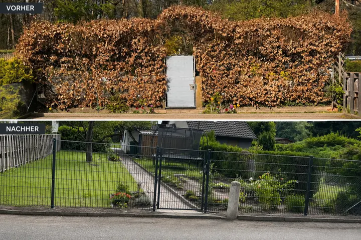 Gartenlandschaftsbau & Pflege – abgeschlossenes Projekt
