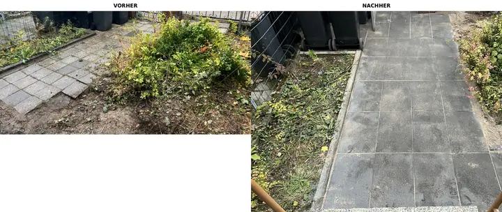 Gartenlandschaftsbau & Pflege – abgeschlossenes Projekt