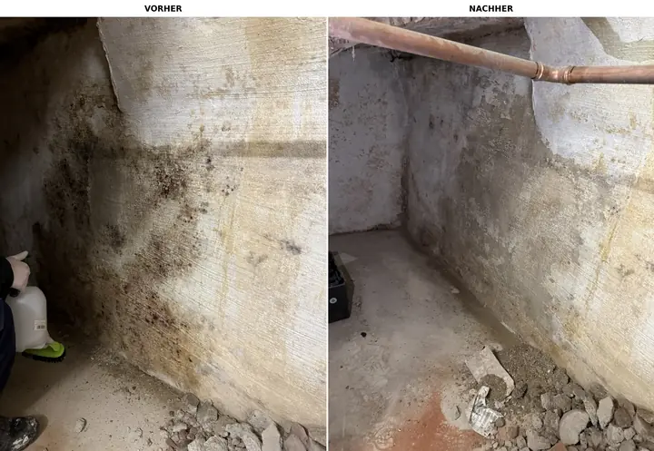 Hausmeisterservice & Reinigung – abgeschlossenes Projekt